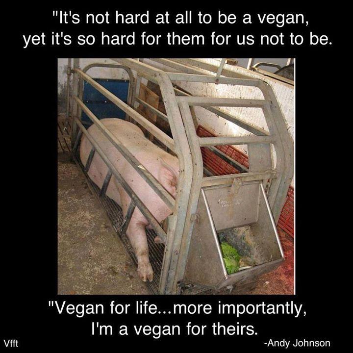 Please go Vegan for me